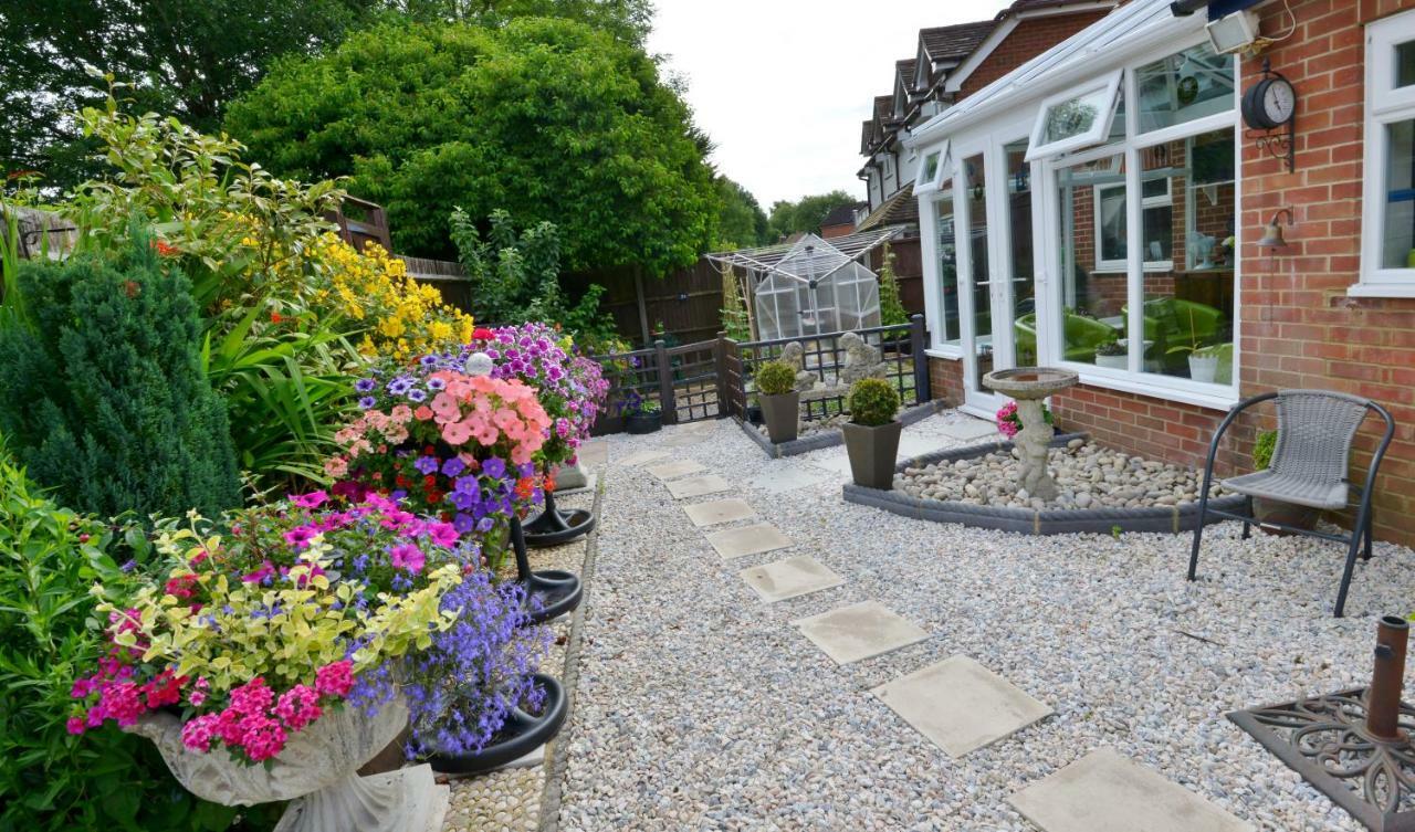 Rosedale Bed And Breakfast Lyndhurst Exteriör bild