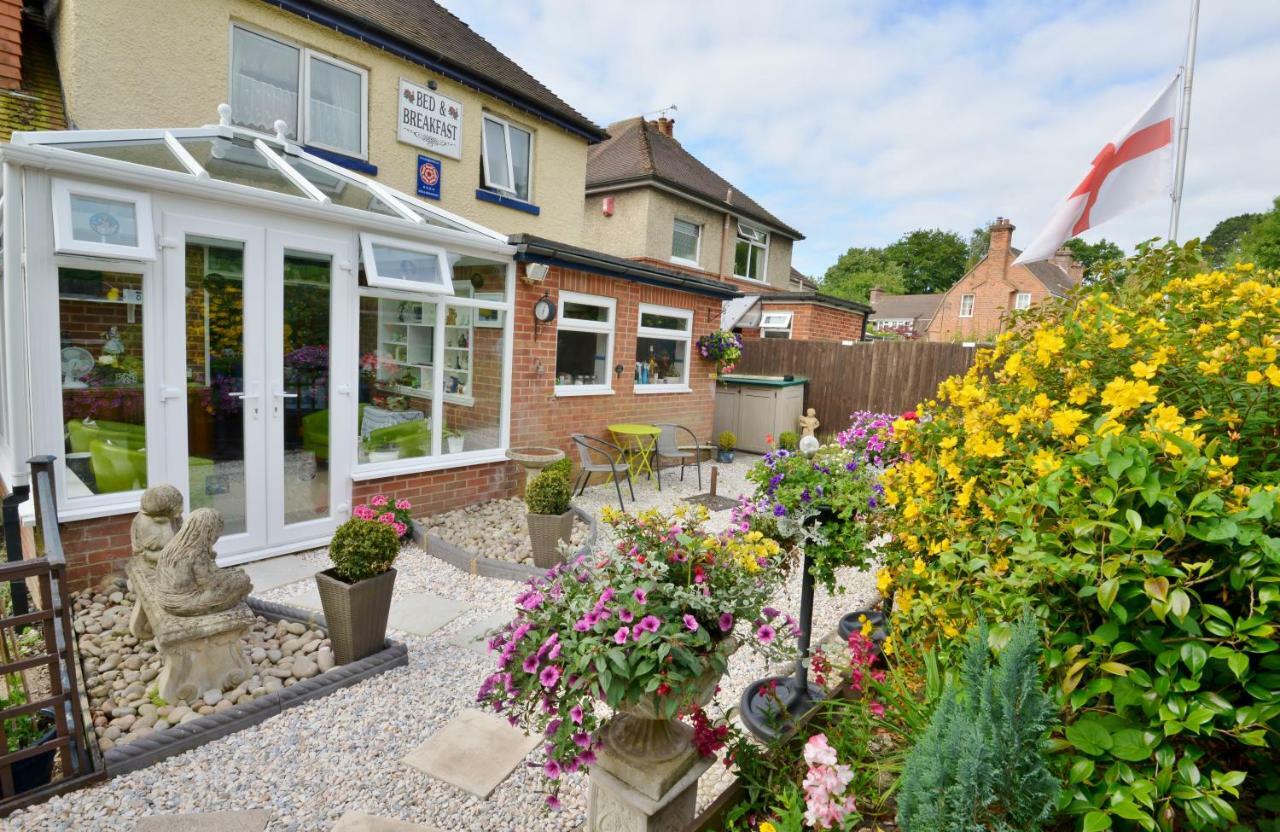 Rosedale Bed And Breakfast Lyndhurst Exteriör bild